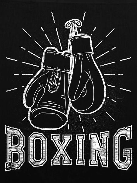 Boxer