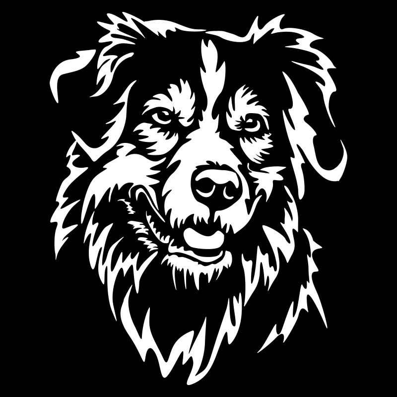 Tête de Shepherd australien « Black Edition »