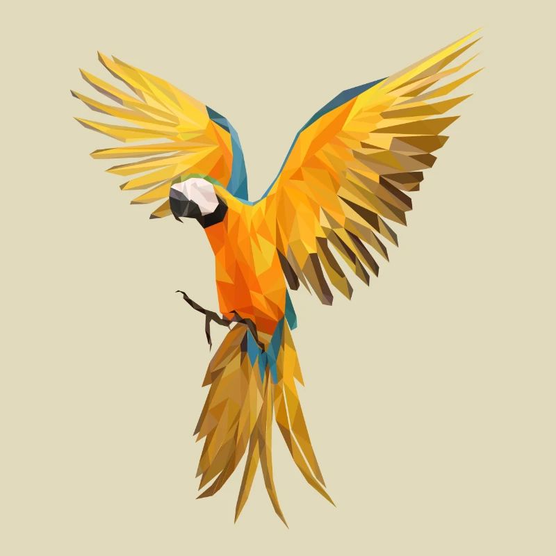 Perroquet low poly