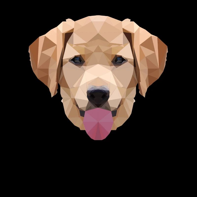 Polygon Labrador, Polygon, Dog, Labrador