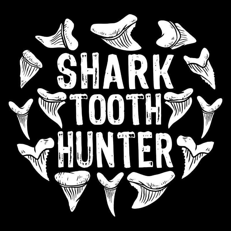 Dent de requin Dent de requin Fossiles de dents de requin