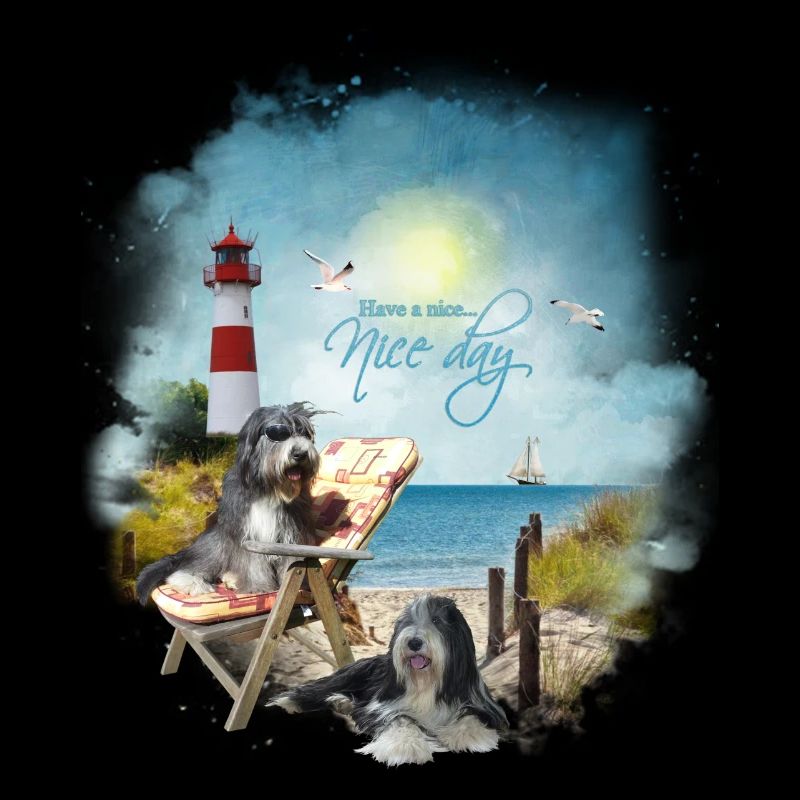 Bearded Collie - maritim