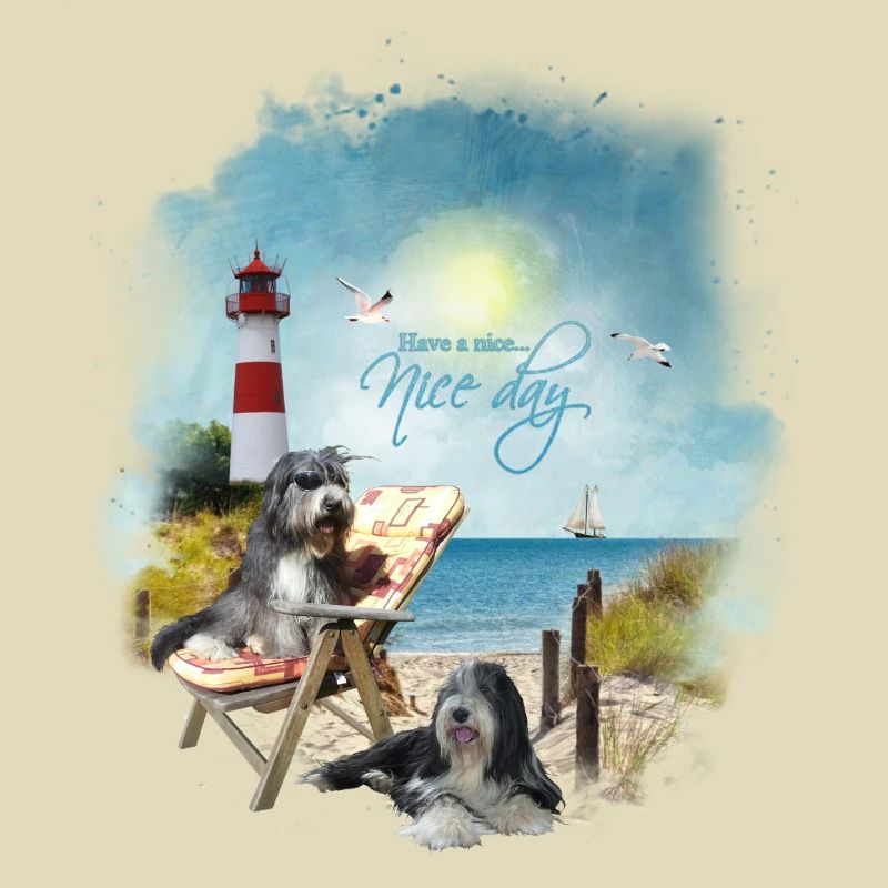 Bearded Collie - maritim
