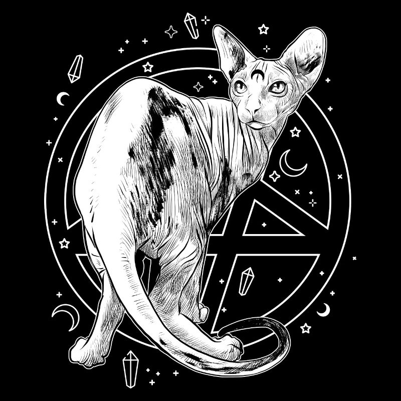 Cat magic spynx pet moon stars