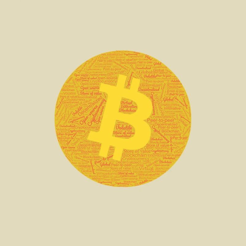 Bitcoin Graphic Tee with Words Pattern design.