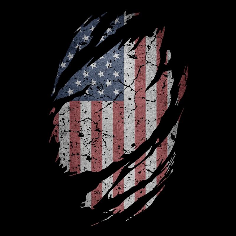 Drapeau USA