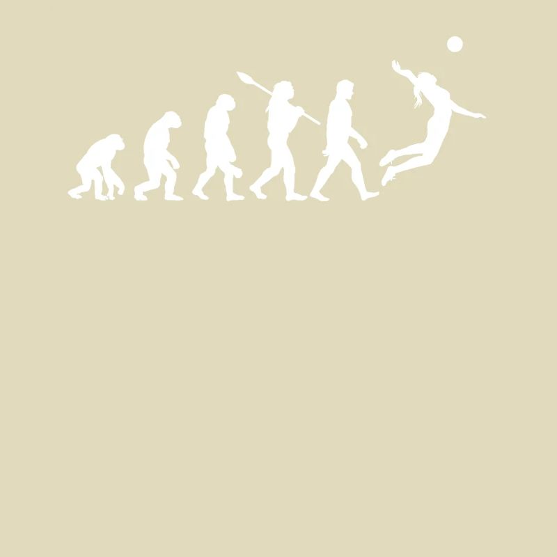 Evolution Volleyball