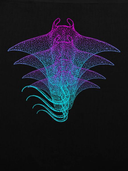 Manta Ray
