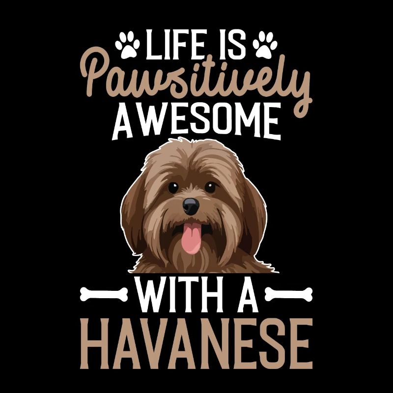Life is pawsitively awesome with a Havanese