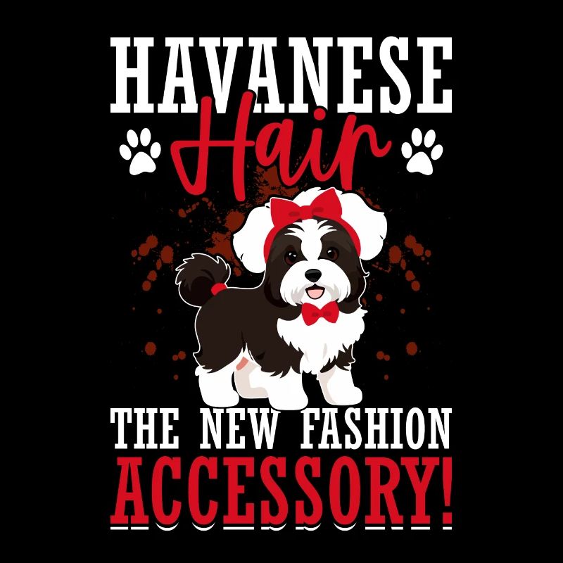 Le bichon havanais : le nouvel accessoire de mode