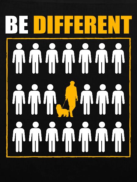 Havaneser Be Different