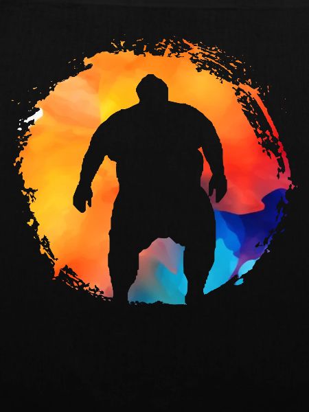 Sumo retro