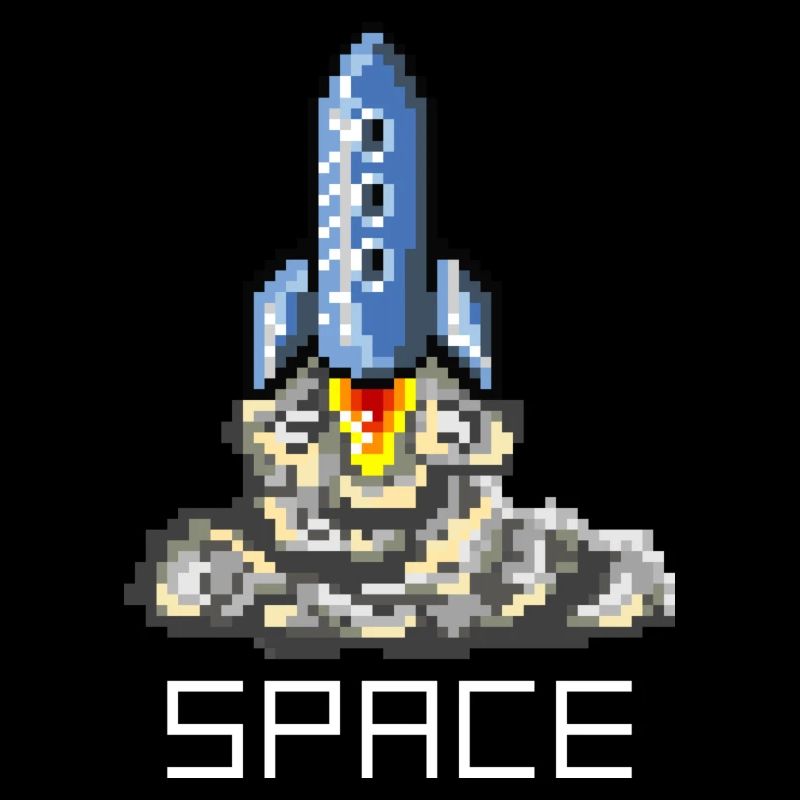 Space Flight