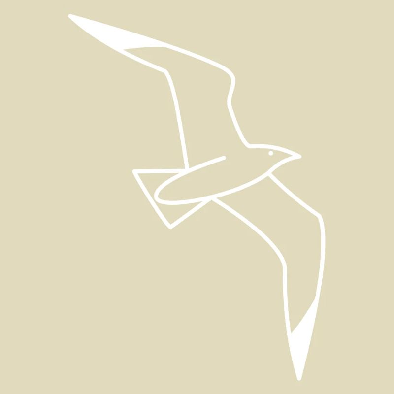 Möwe - Nordsee