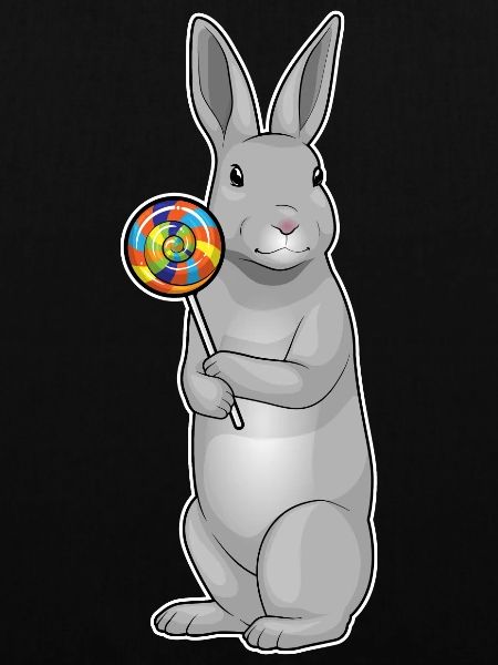 Rabbit lollipop