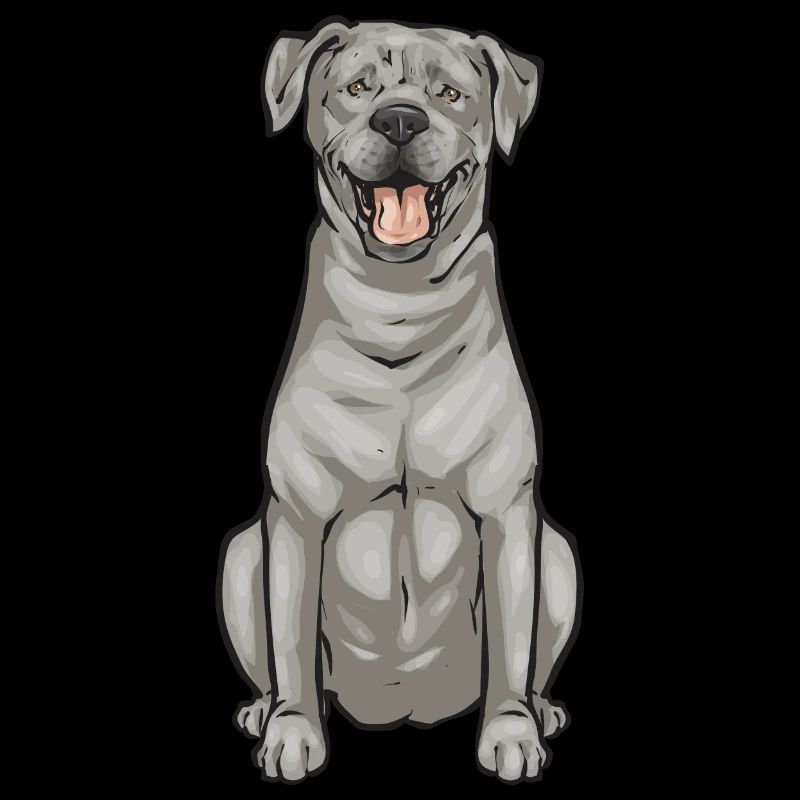 Silver Labrador Retriever Silver Lab