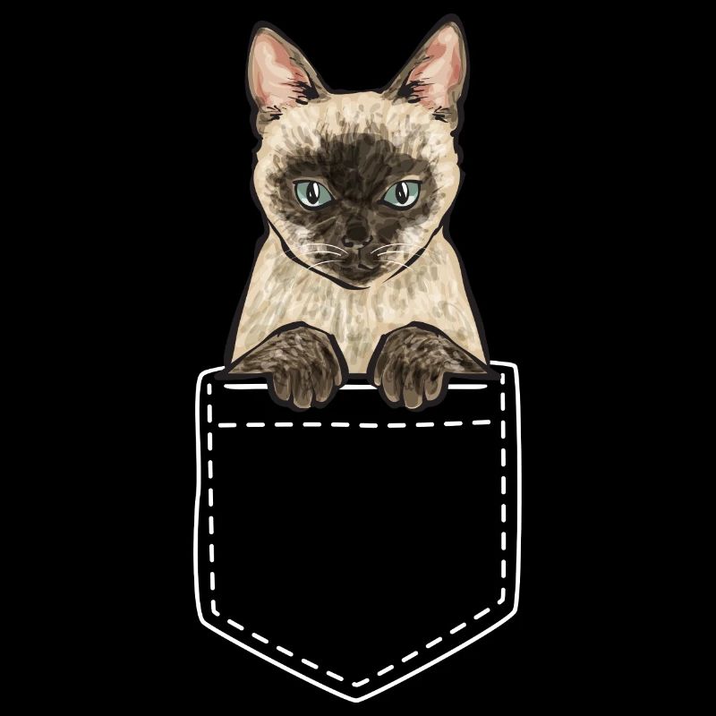 Siamkatze Katze Siamese