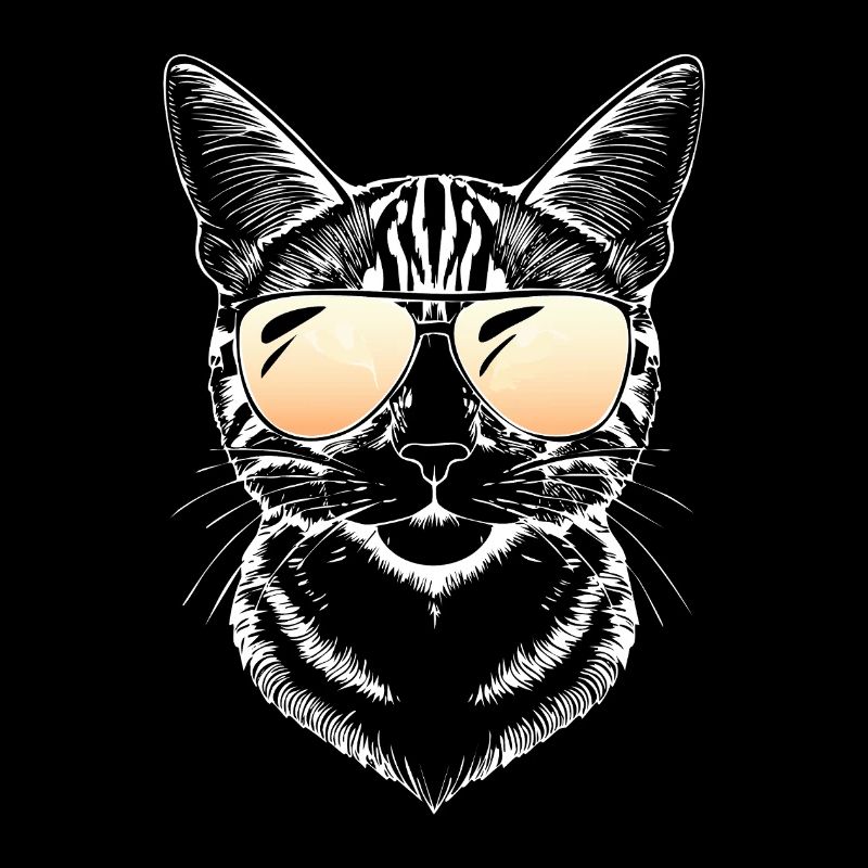 Katze Cat