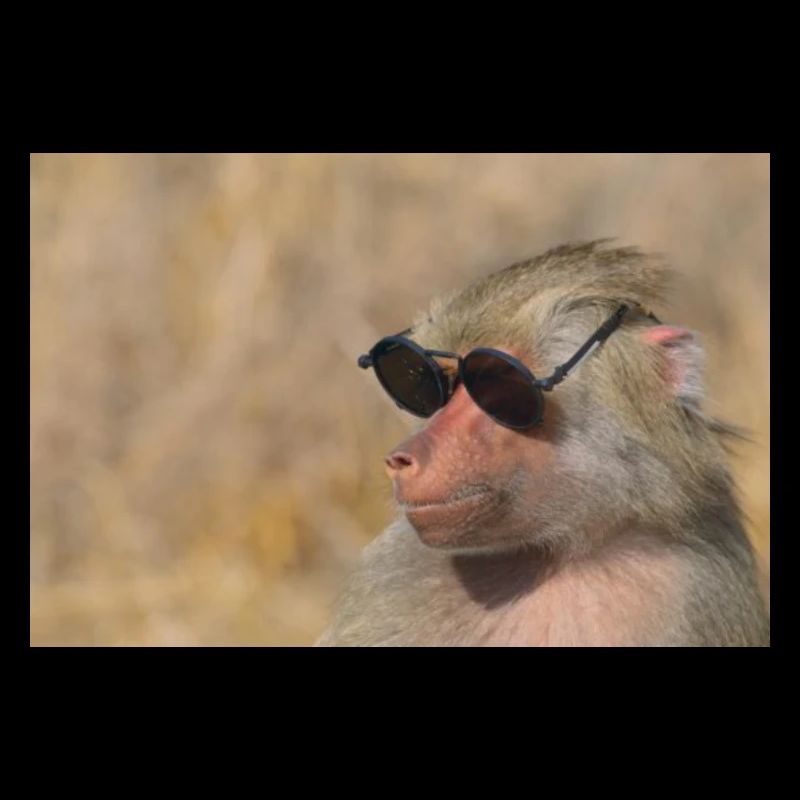 monke