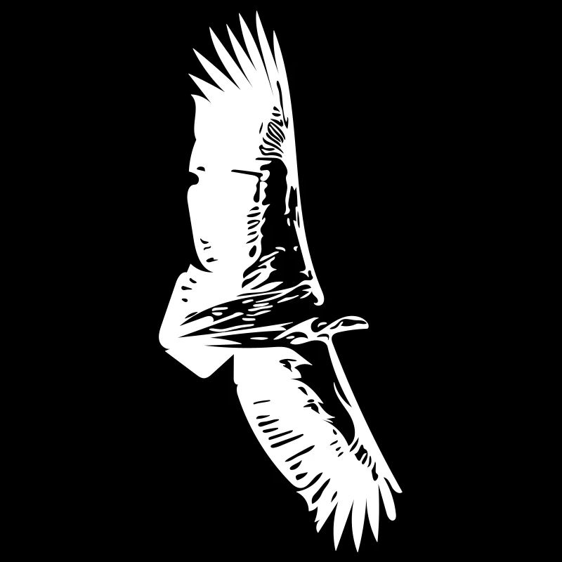 Geier im Flug