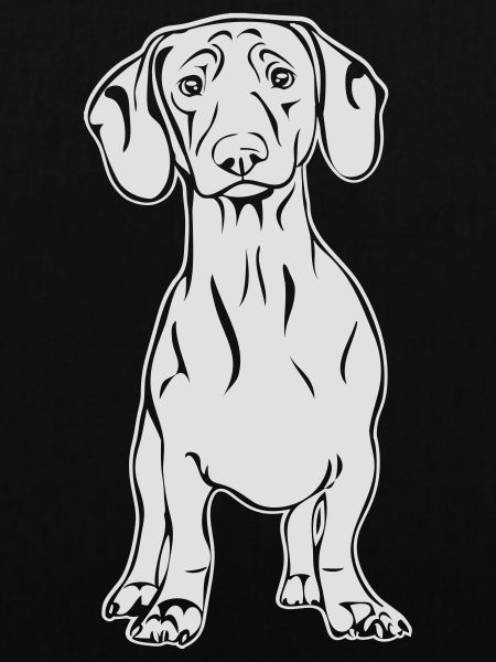 DACKEL DACHSHUND stehend