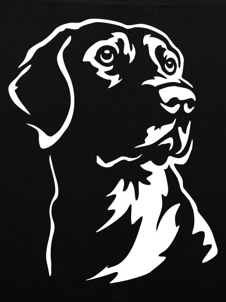 Labrador Head "Black Edition"