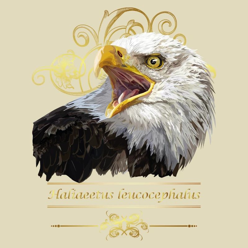 Weißkopfseeadler