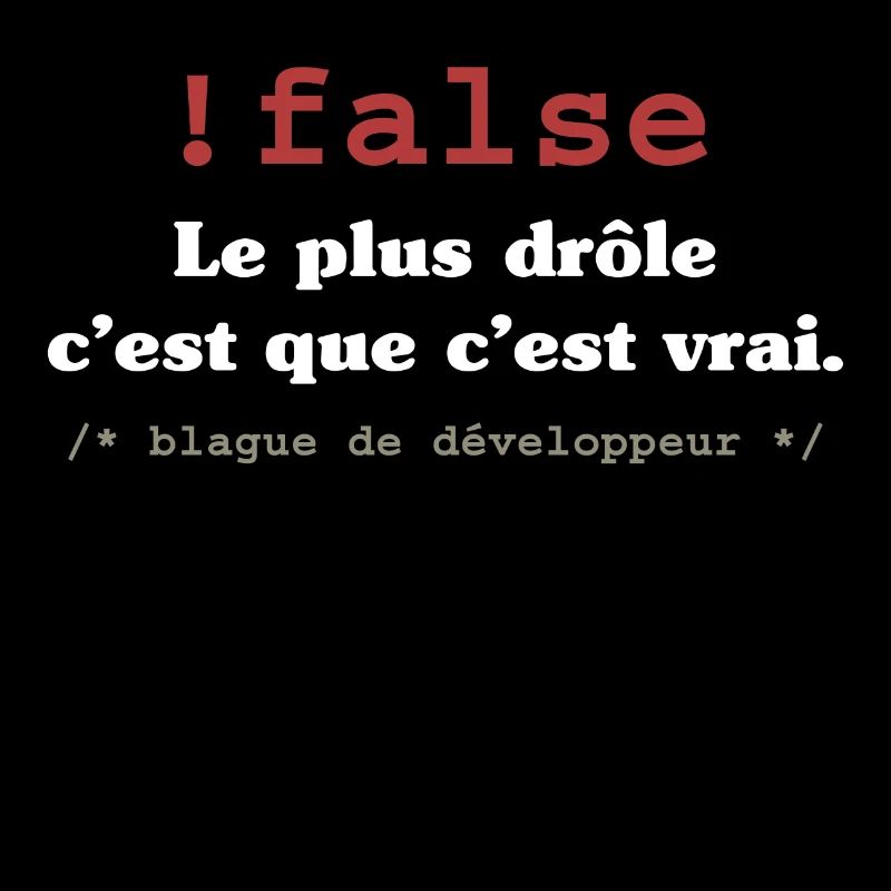 Blague programmeur développeur codeur informatique