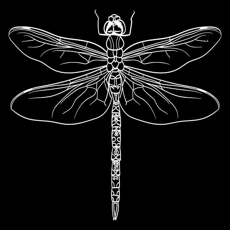 Libellule silhouette blanc