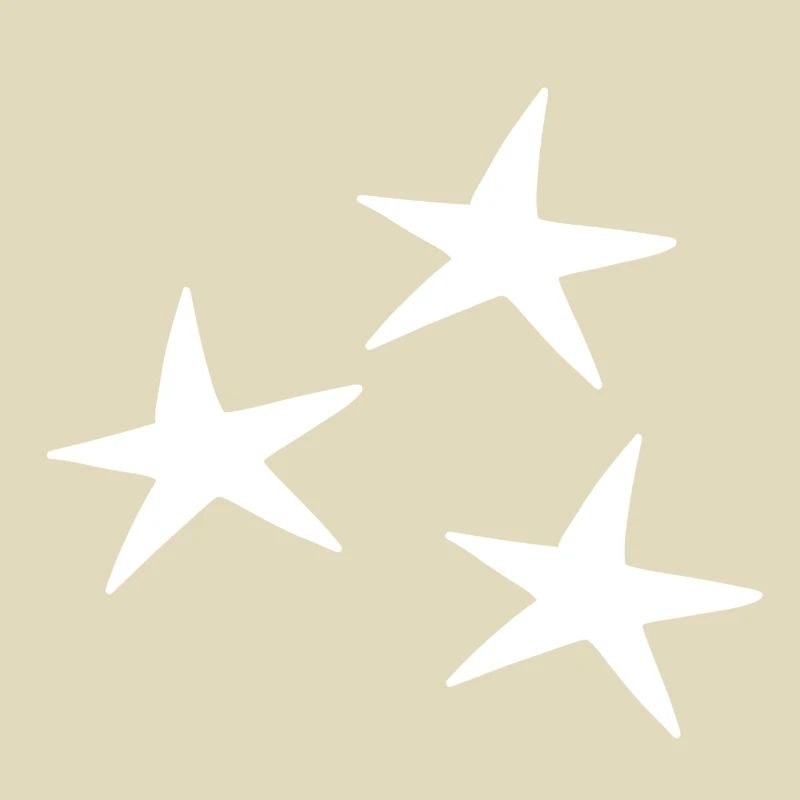 Stern muster Symbol