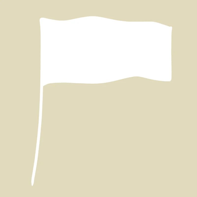 Flag Shape Icon