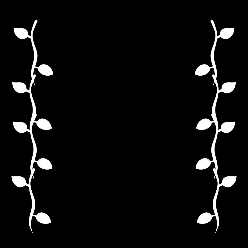 Feuilles Ligne Nature Feuille Branches Forme
