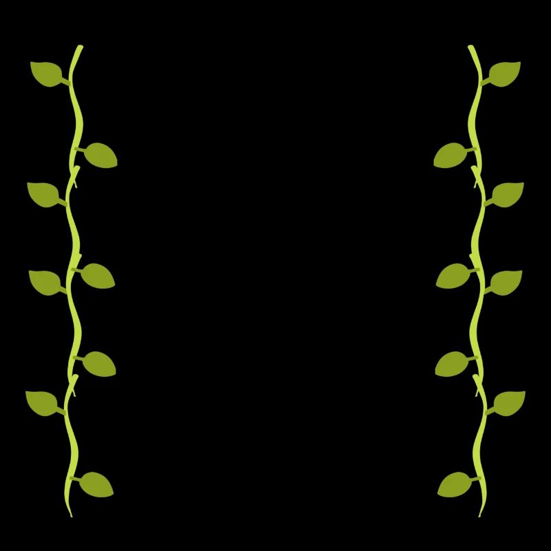 Feuilles Ligne Nature Branches de feuilles