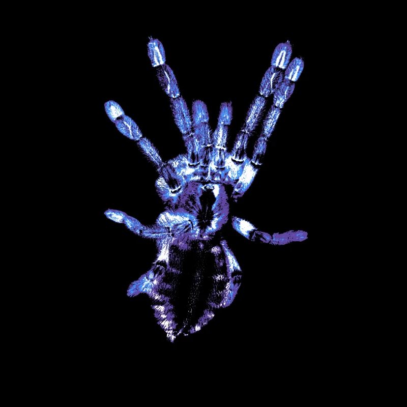 Vogelspinne