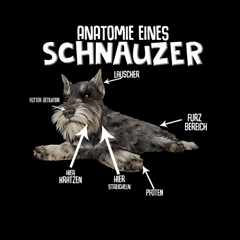 Schnauzer Hund