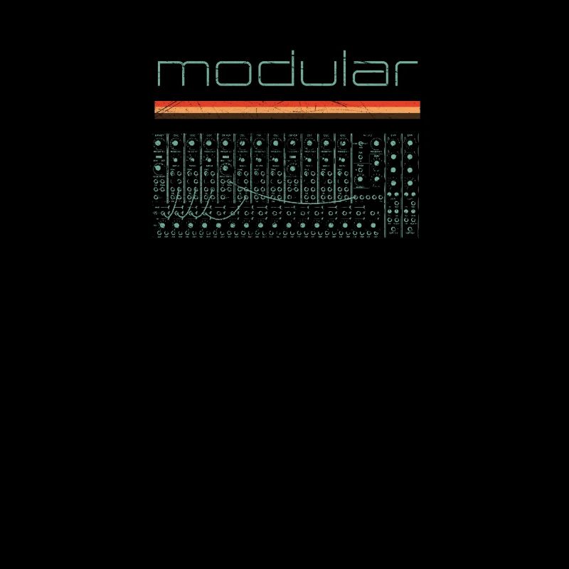 Vintage Modular Synthesizer - Analoger DIY Synth