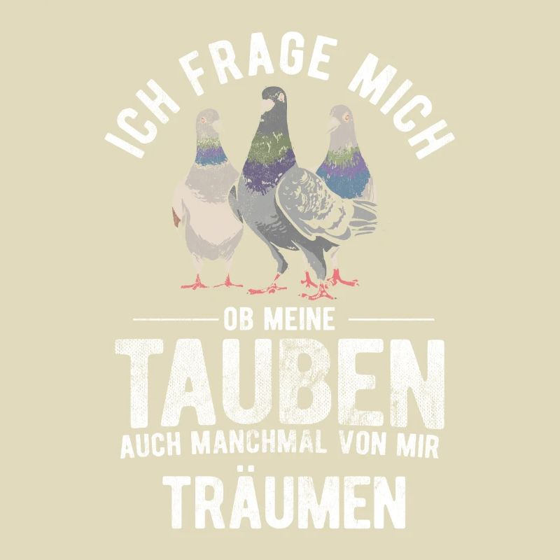Taube Tauben Vogel