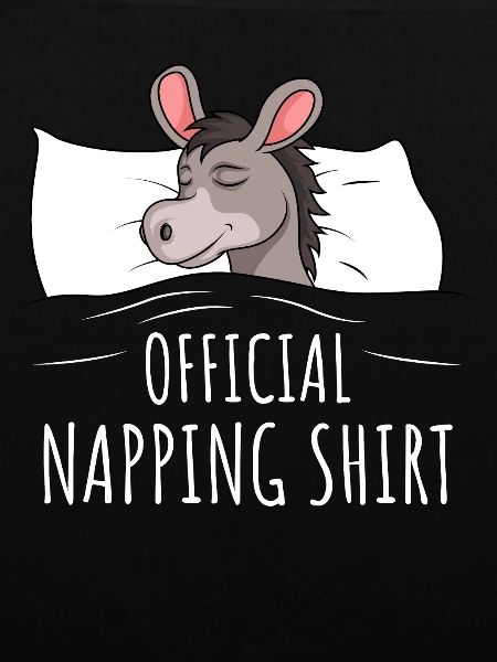 Donkey Sleeping Shirt Gift