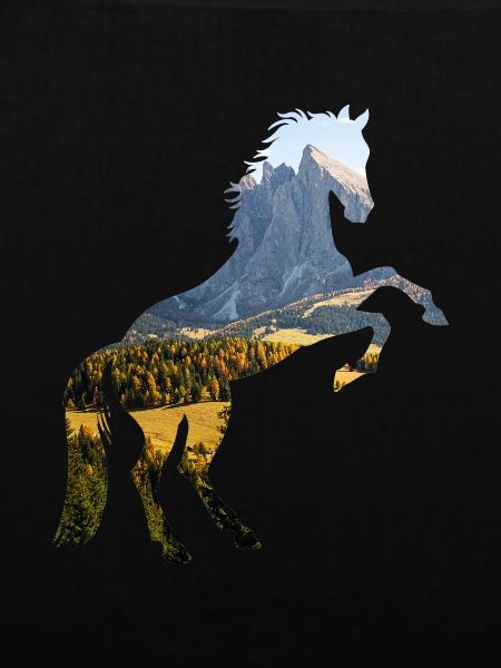 Pferd