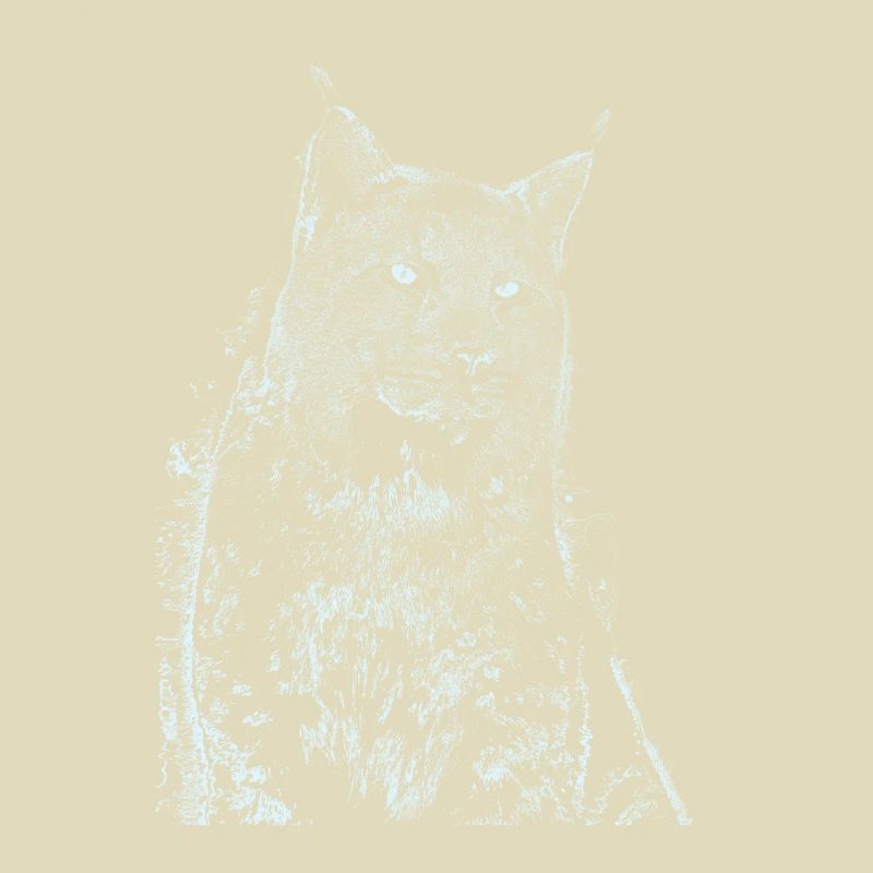 Luchs