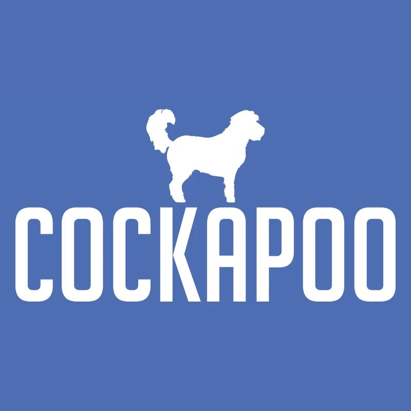 Cockapoo Hunderasse Hunde Hund Wilsigns