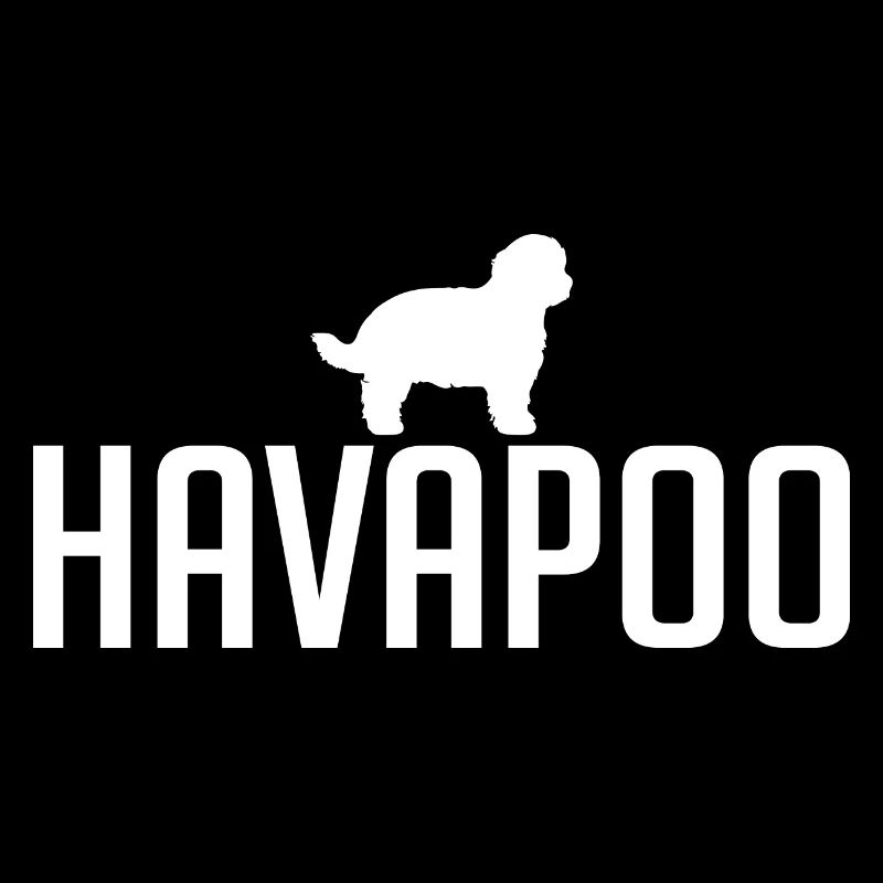 Havapoo Dog Breeds Dogs Dog Wilsigns