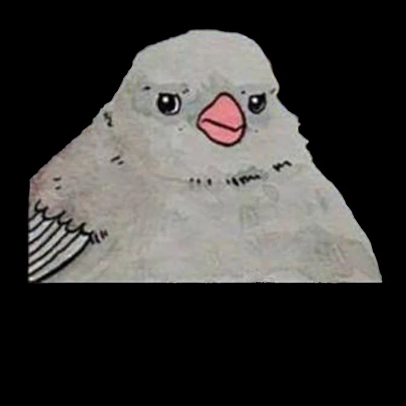 Annoyed Bird Meme