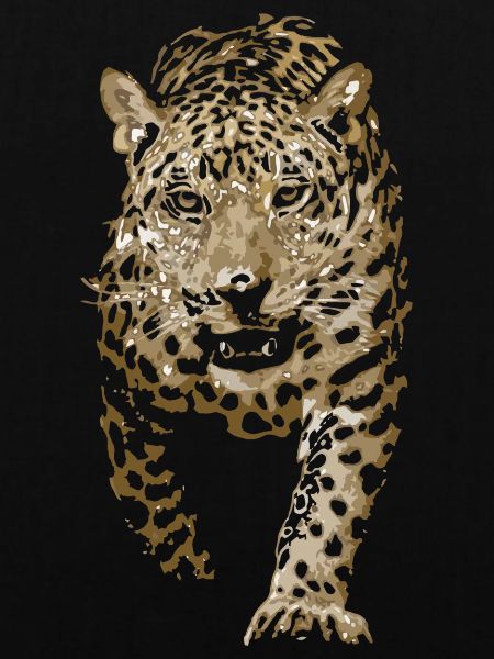 leopard, indische leopard, persische leopard