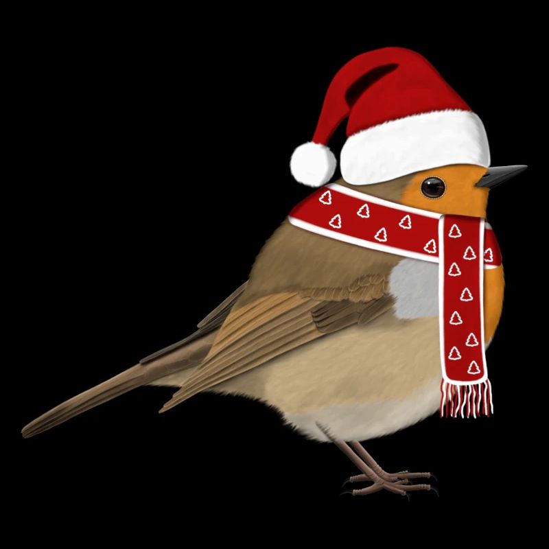 Robin Christmas Bird Hat Scarf Biologist