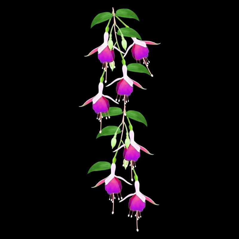 Fuchsia, Blüten