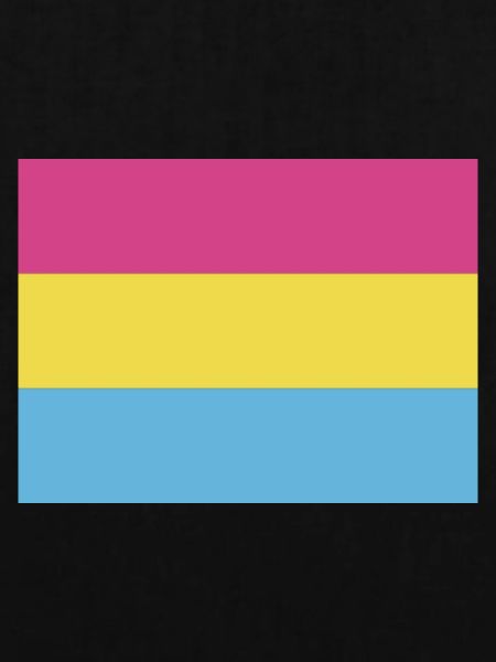 Pansexual Pride Flag