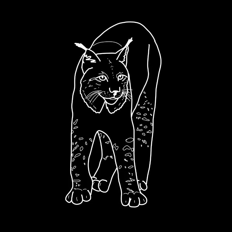 Luchs