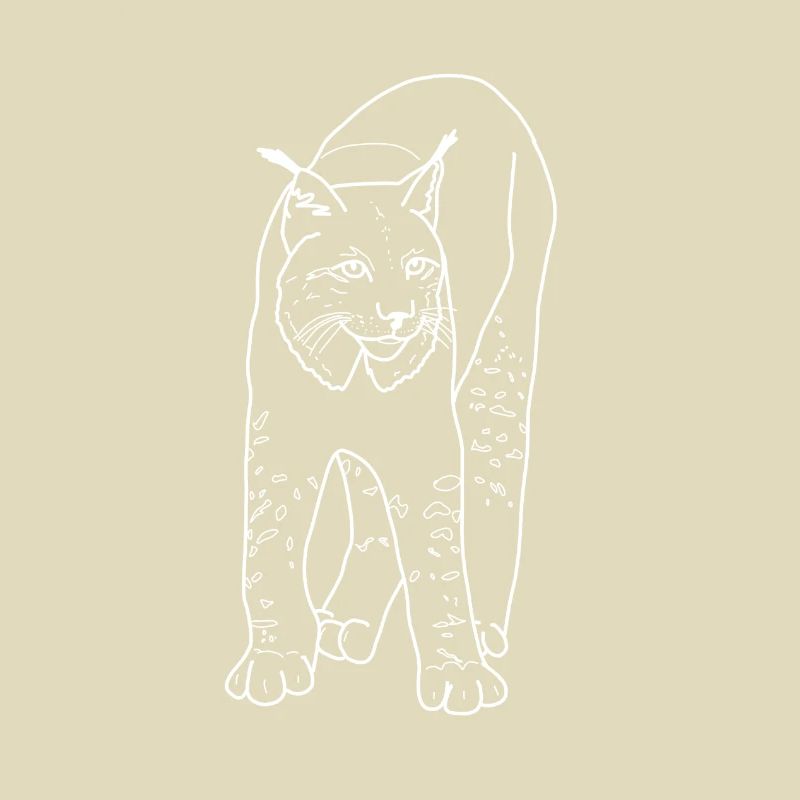 Luchs