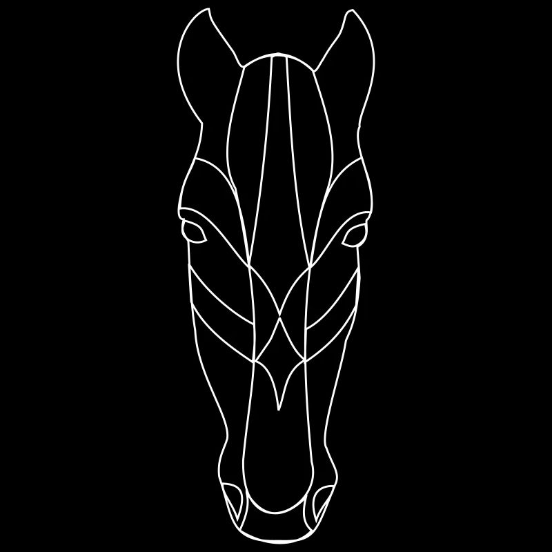 Pferd Geometrie